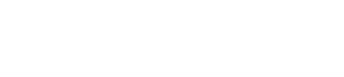 Holosun-logo